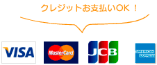 クレジットお支払いOK！